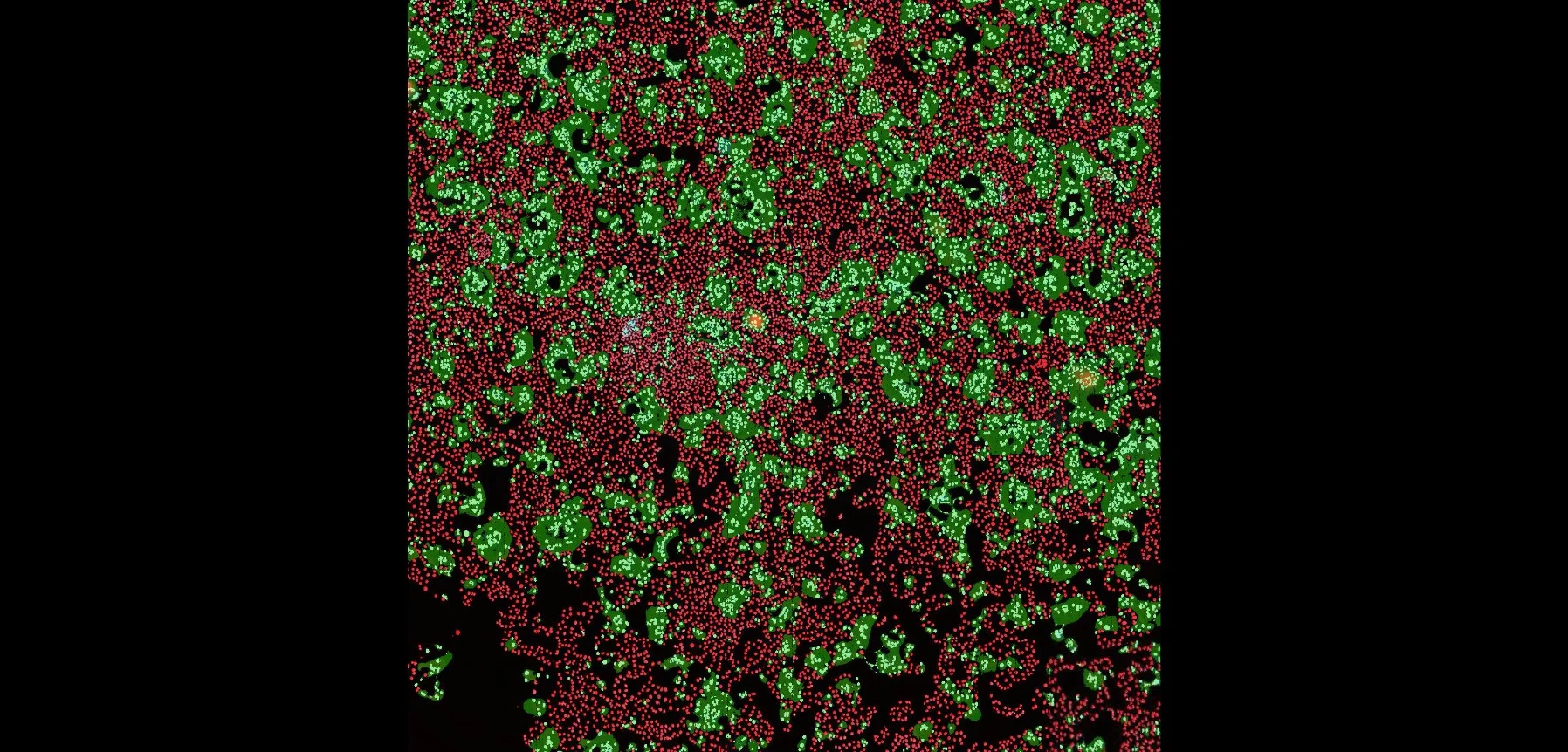 Coronavirus Project